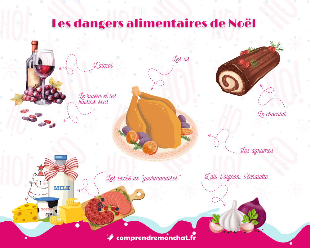 Les principaux aliments de Noël toxiques pour les chats.