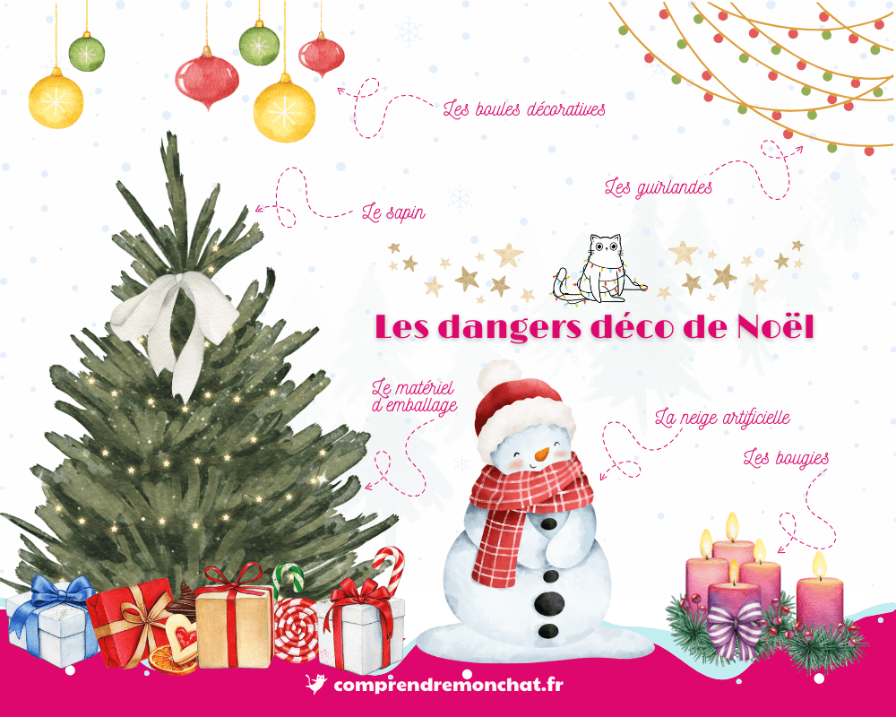 Les principaux dangers déco de Noël pour les chats