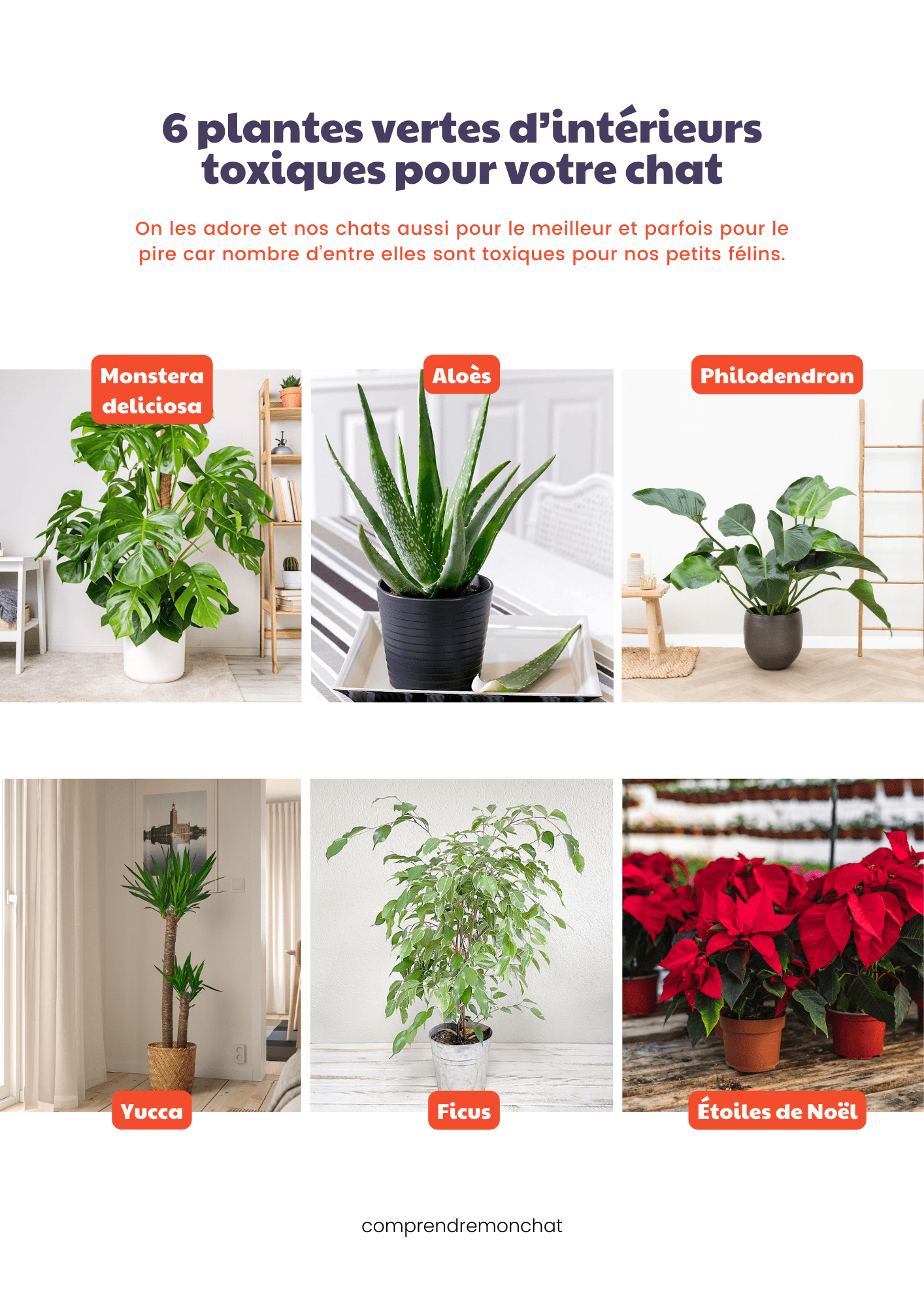 PRÉVENTION INTOXICATION.zip - 3