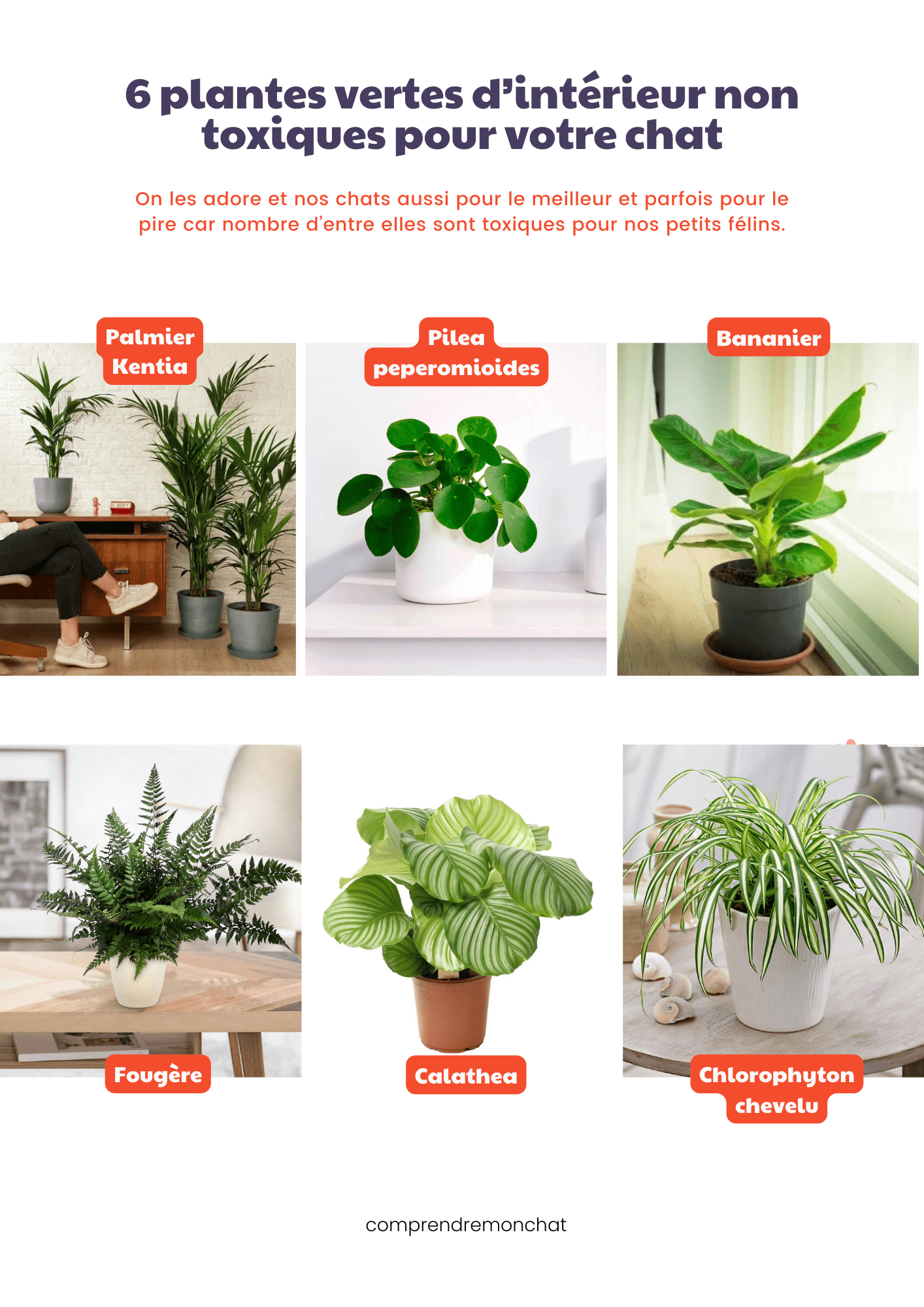 PRÉVENTION INTOXICATION.zip - 4