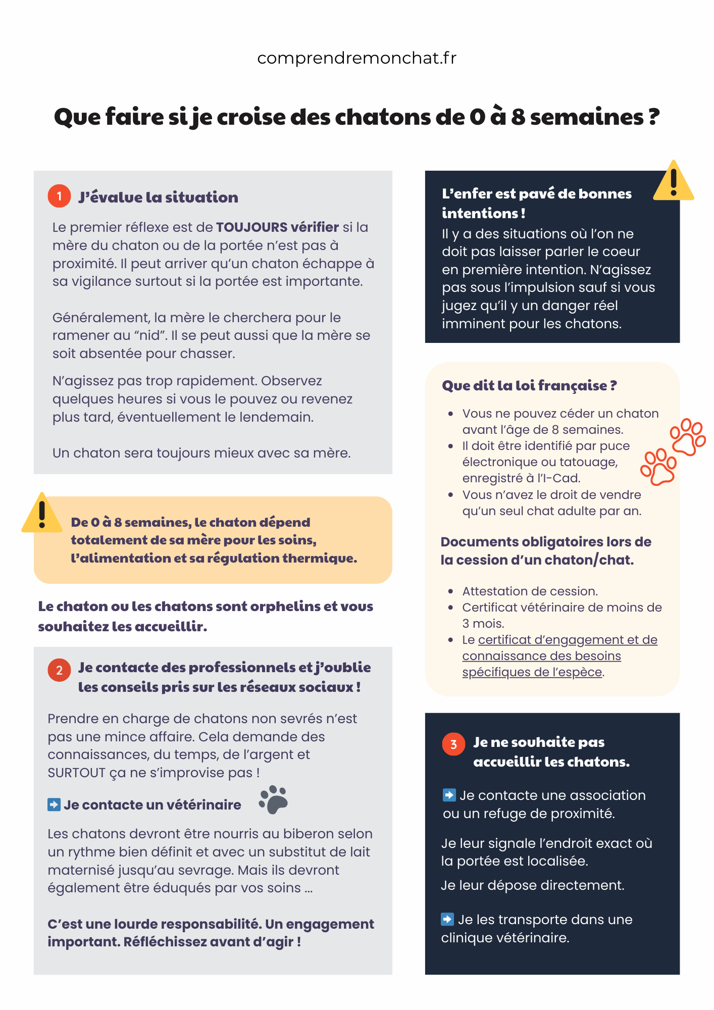 comprendremonchat chatons errants FP comprendremonchat chatons errants FP