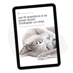 VIGNETTE QUESTIONNAIRE ADOPTION