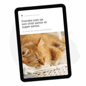 VIGNETTE GUIDE CHAT SENIOR