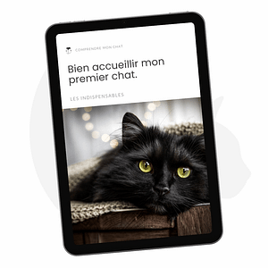 VIGNETTE LES INDISPENSABLES PREMIER CHAT