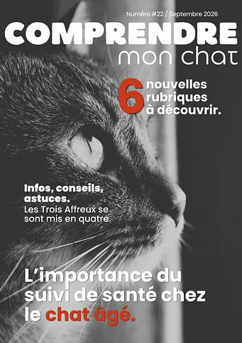 COUV-GAZETTE N°22 - Septembre 2026 Couverture Catzine 22