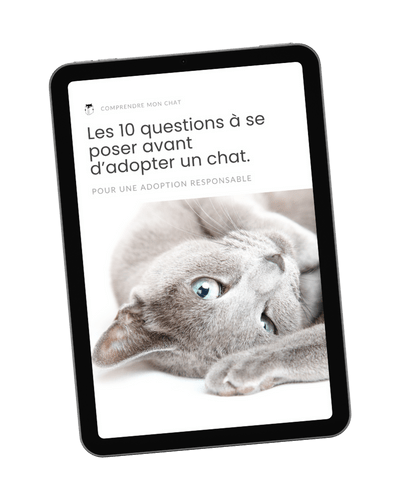 Mockup du fichier Les 10 questions à se poser avant d'adopter un chat.