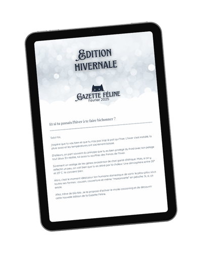 Gazette Février 2025