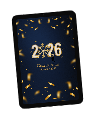 Gazette janvier 2026