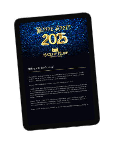 Gazette Janvier 2025