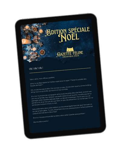 Gazette Décembre 2024