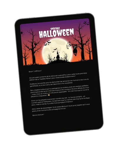 Gazette Novembre 2024