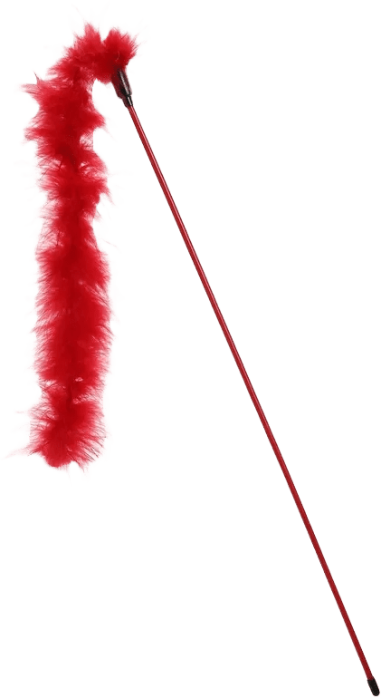 Plumeau pour chat