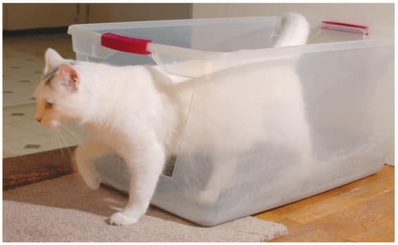 © ISFM et AAFP 2014