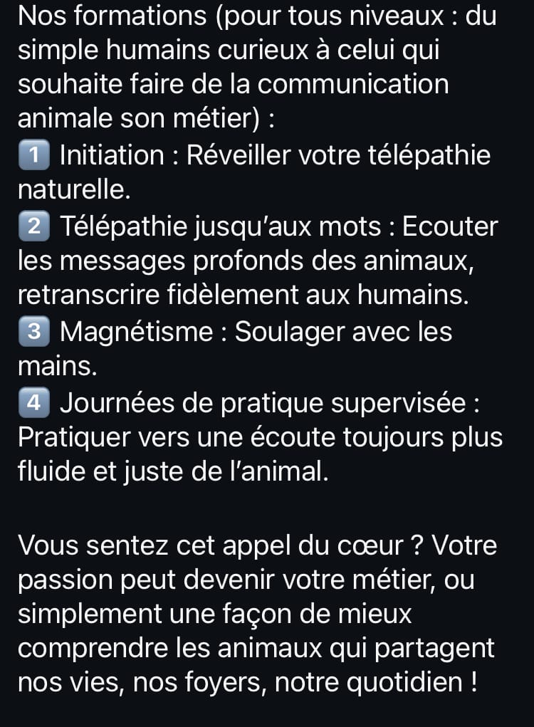 exemple formation 03