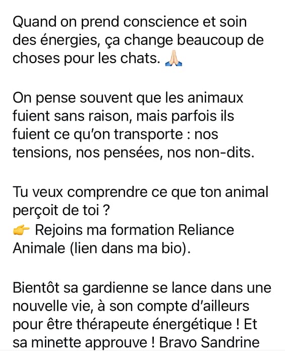 exemple formation 01