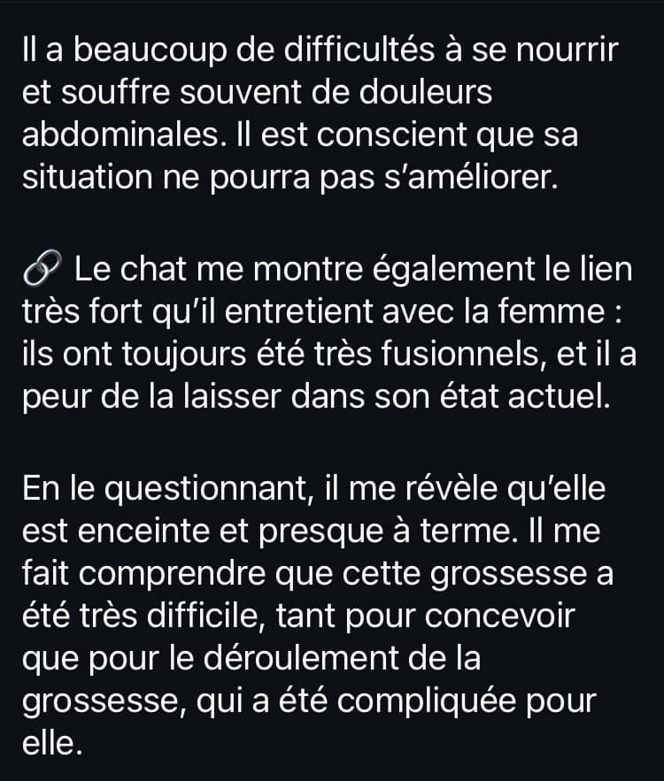 Les dérives de la communication animale Capture d'écran d'un exemple de dérive de la communication animale