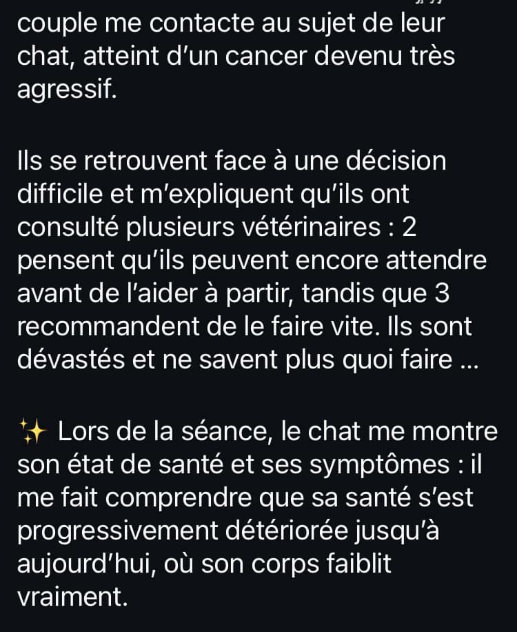 Les dérives de la communication animale Capture d'écran d'un exemple de dérive de la communication animale