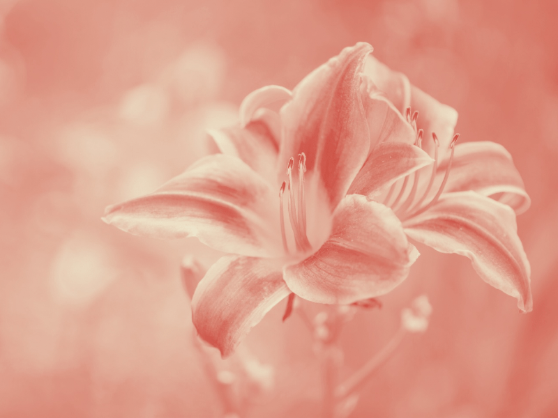 Vignette image fiche pratique