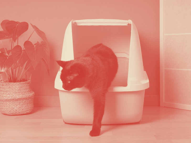 Vignette image fiche pratique