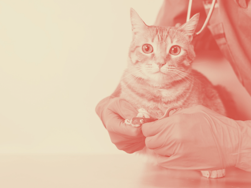 Vignette image fiche pratique