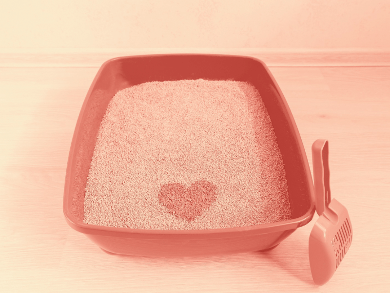 Vignette image fiche pratique