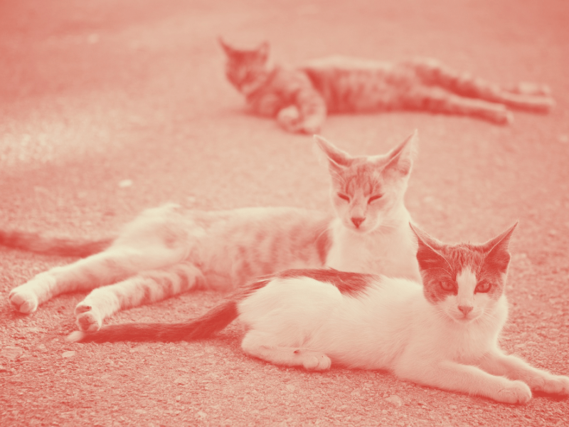 Vignette image fiche pratique